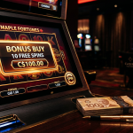 How Bonus Buy Features...